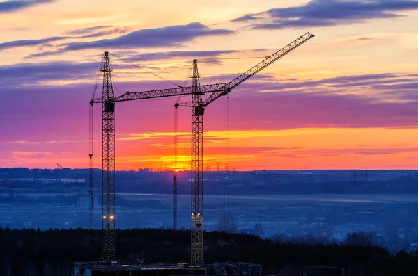 Grues de construction au coucher du soleil — Photo