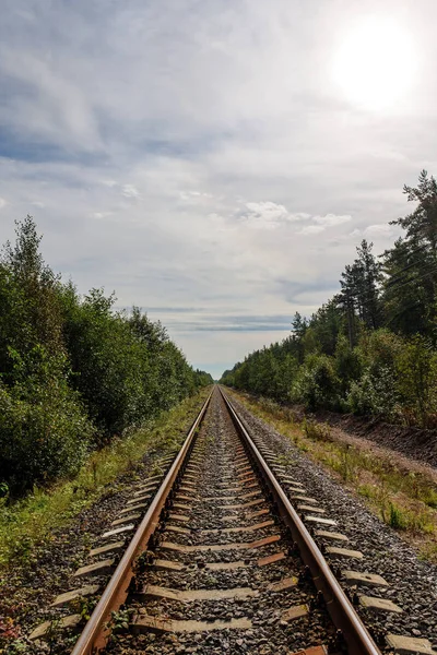 森の中の鉄道は — ストック写真