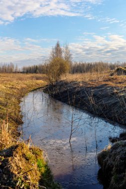 Bahar creek ile manzara