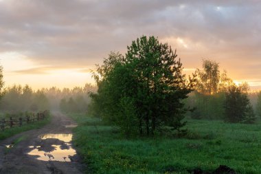 Kırsal güneşli sabah