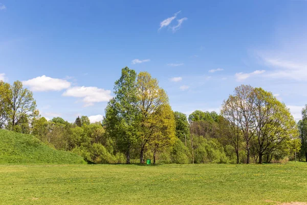 Printemps paysage ensoleillé — Photo