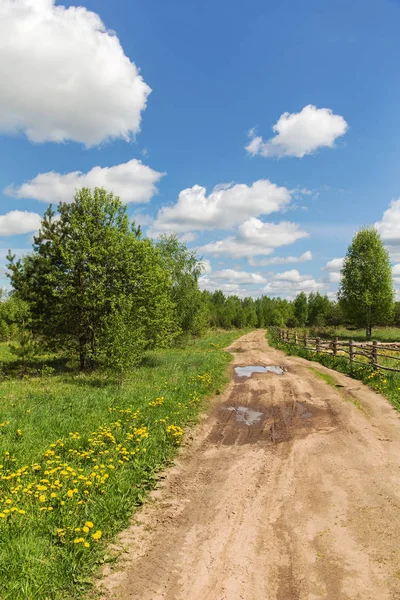 Feldweg im ländlichen Raum — Stockfoto