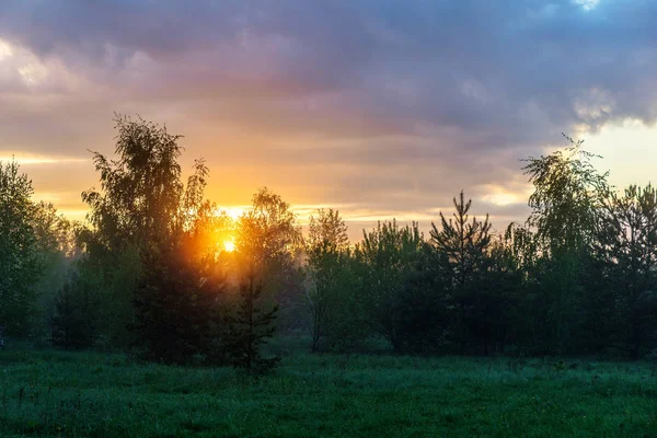 Świt nad lasem — Zdjęcie stockowe