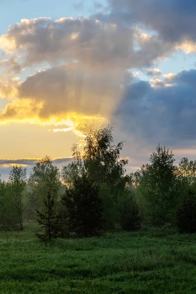 Frühlingslandschaft im Morgengrauen — Stockfoto