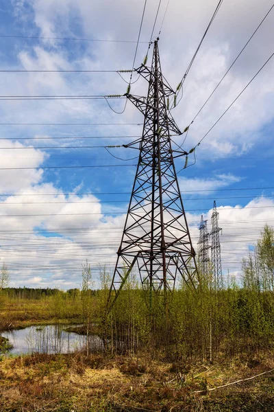Power lines on a swamp — Stock Photo, Image