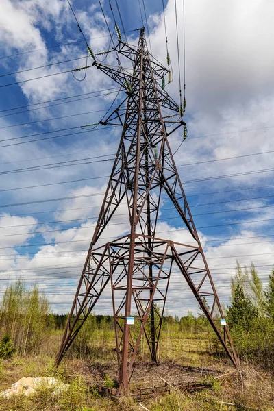 Torre nella foresta — Foto Stock