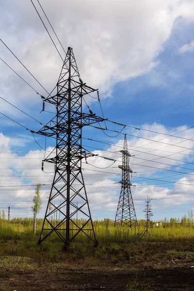 Línea eléctrica en el bosque —  Fotos de Stock