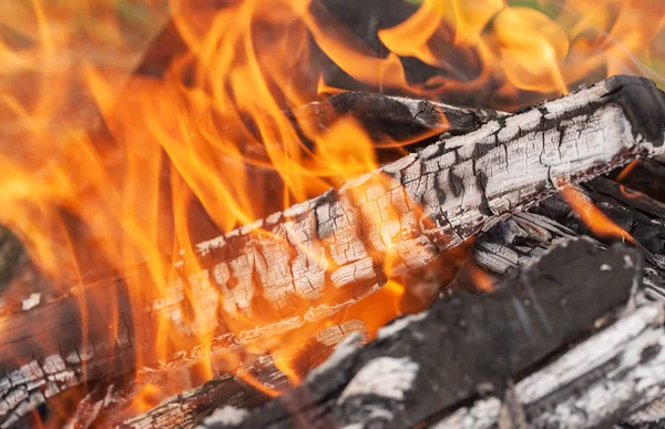 Yangın yakın çekim