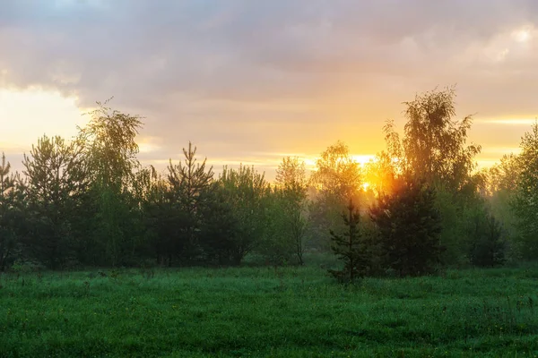 Amanecer de primavera sobre el prado — Foto de Stock