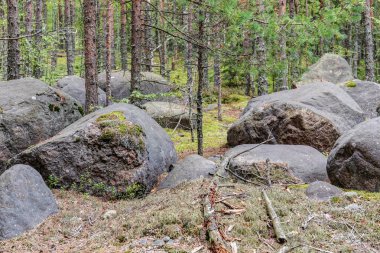 büyük taşlarla manzara