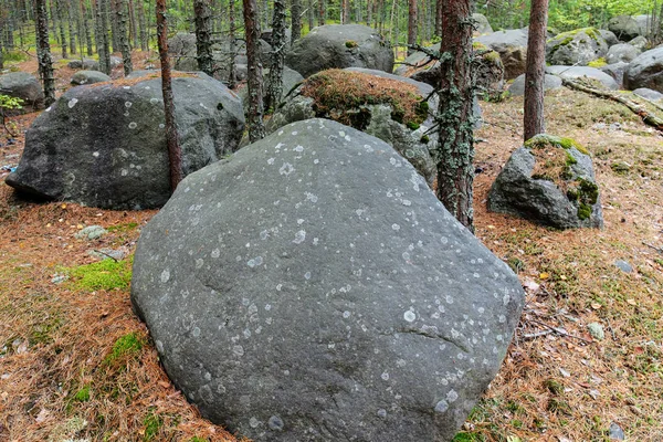 Grote stenen in het bos — Stockfoto