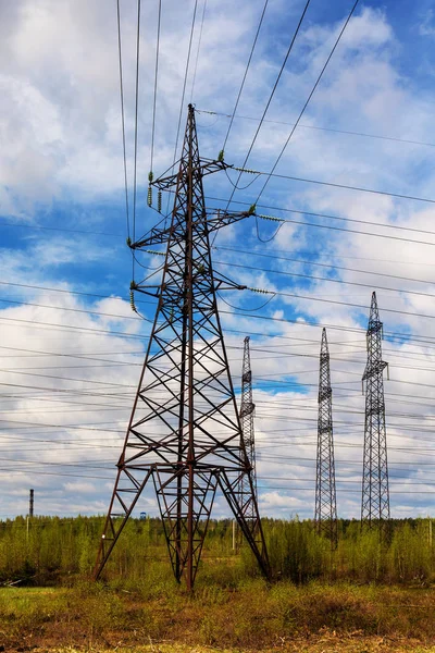 Elektrické vedení v lese — Stock fotografie