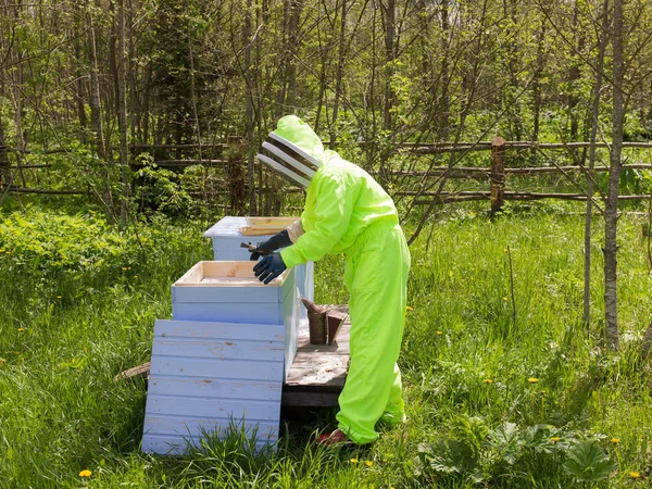 Пчеловод в апиаре — стоковое фото