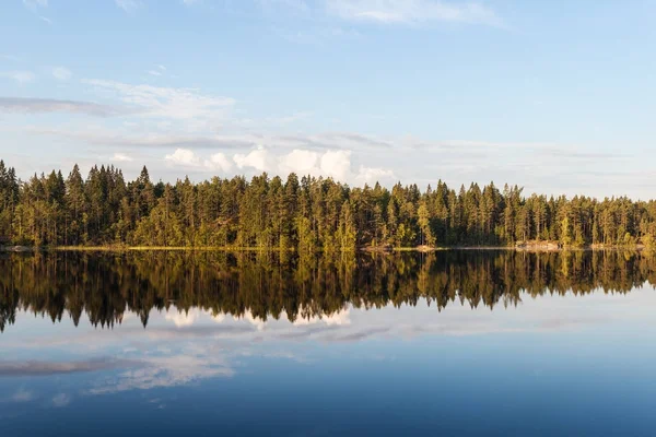 Břehu jezera lesa — Stock fotografie