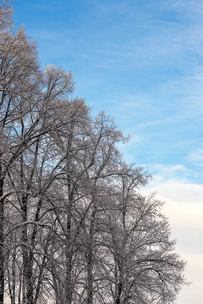 Koude winterdag — Stockfoto