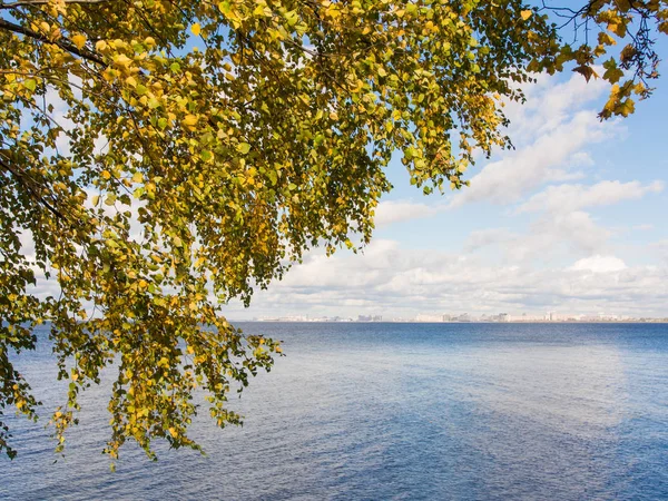 Fogliame autunnale sull'acqua — Foto Stock