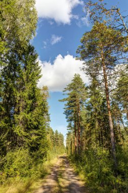 toprak yol ile peyzaj