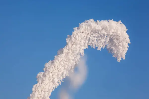 青空の霧氷 — ストック写真