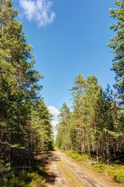 Toprak yollu manzara