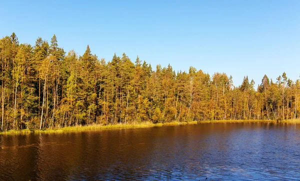 Oever van het meer in de herfst — Stockfoto