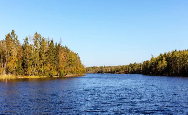 Lago del bosque en otoño — Foto de Stock