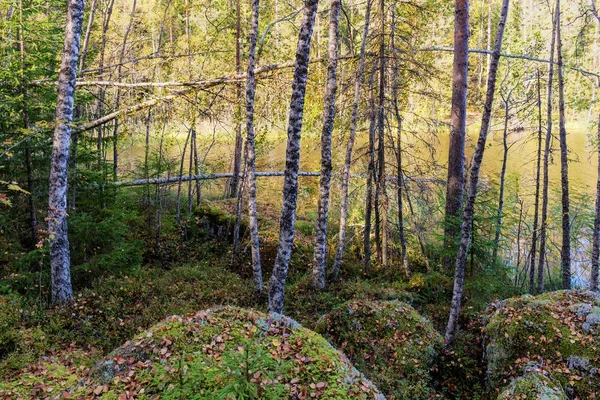 Paisaje en la orilla — Foto de Stock