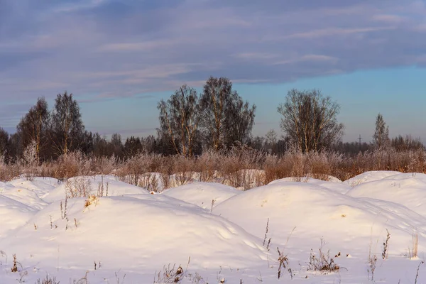 마른 잔디와 겨울 풍경 — 스톡 사진