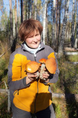 ormanda mantar seçici