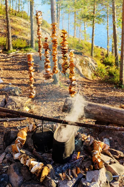 Campeggio nel bosco — Foto Stock