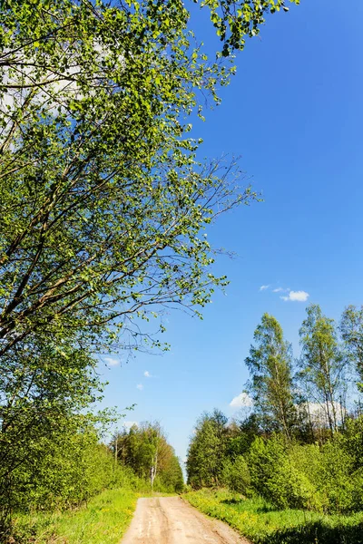 Paysage avec un chemin de terre — Photo