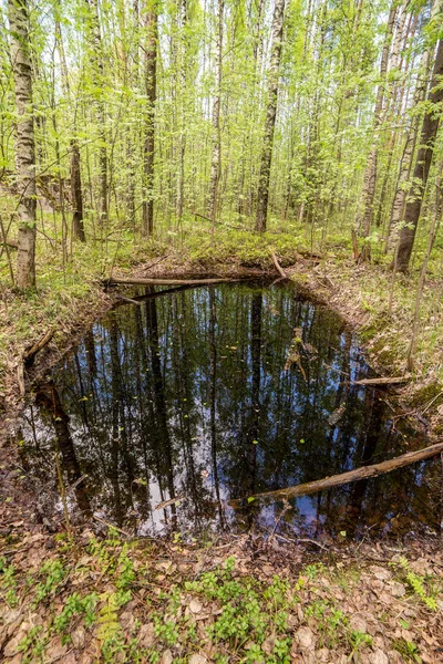 Charco con reflejos — Foto de Stock