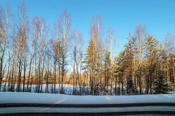 겨울 숲에서 길가 — 스톡 사진