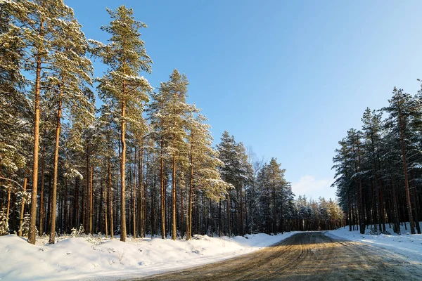 Estrada de terra no inverno — Fotografia de Stock