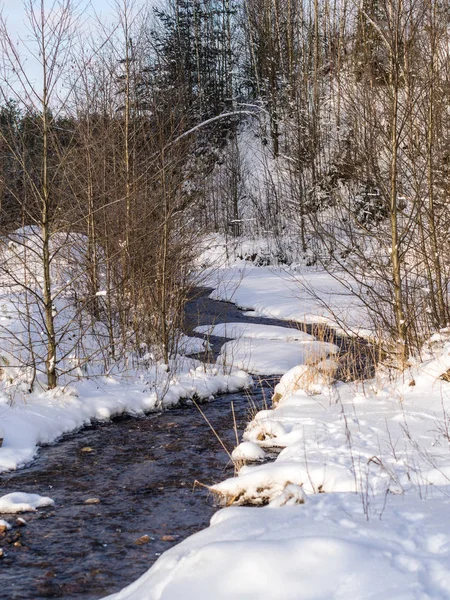 Río en el bosque de invierno — Foto de Stock