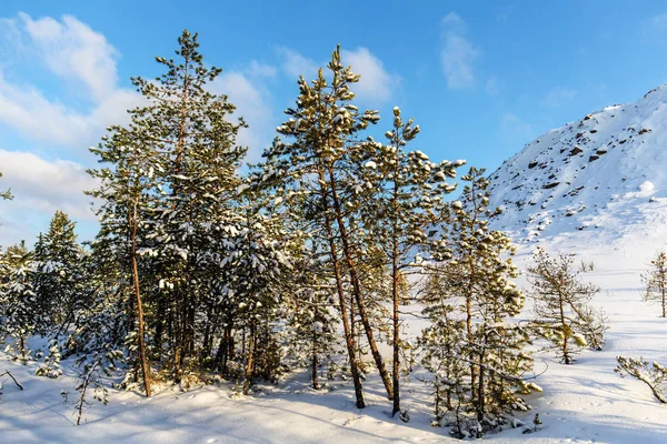 Paisaje en invierno — Foto de Stock