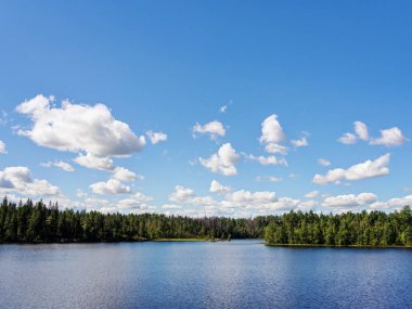 güneşli yaz peyzaj