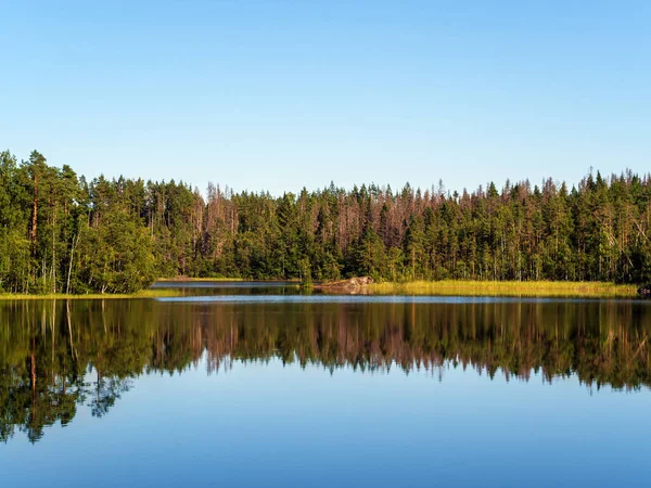 Пейзаж на лесном озере — стоковое фото