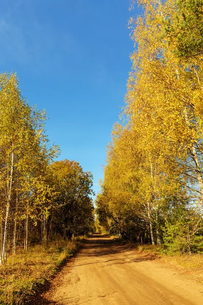 stock image rural dirt road