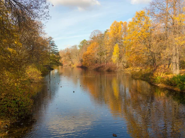 Río en un parque de otoño —  Fotos de Stock