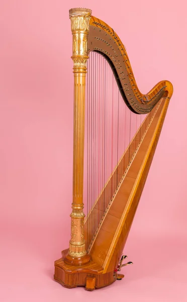 Harpa dourada em um fundo rosa — Fotografia de Stock