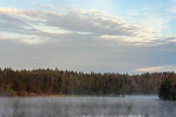 Пейзаж на лесном озере — стоковое фото