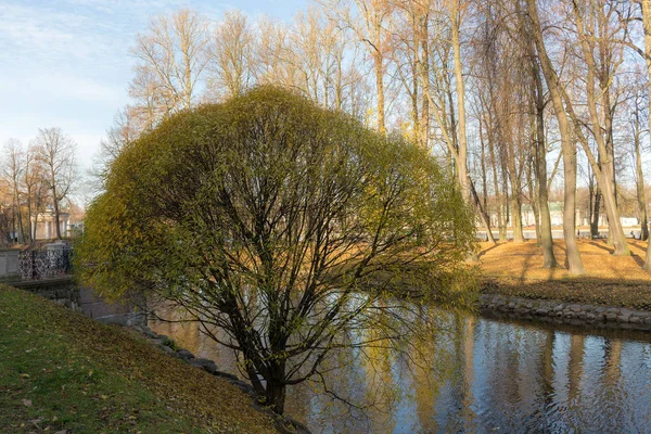 Landscape in the autumn park — Stock Photo, Image