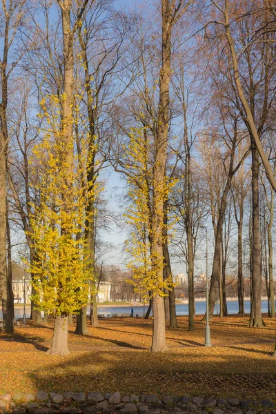 Herbstpark im Oktober — Stockfoto