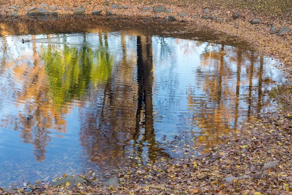 가을 공원에 있는 연못 — 스톡 사진