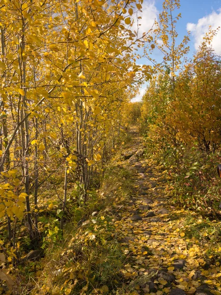 Bir yol ile peyzaj — Stok fotoğraf