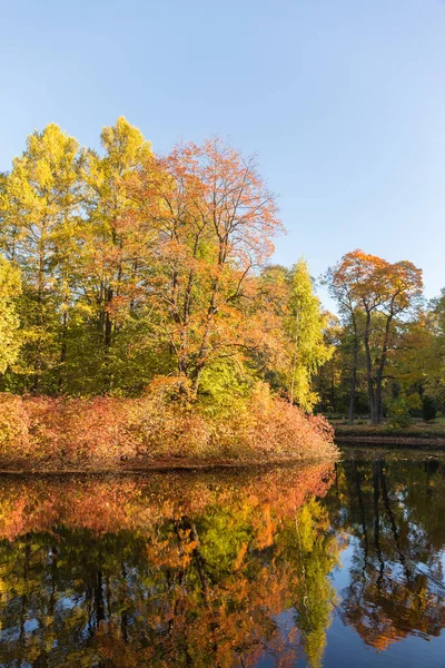 Paisaje soleado con árboles de otoño —  Fotos de Stock