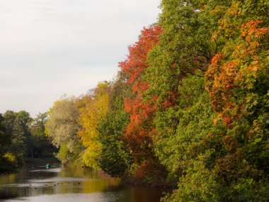 Yapay Ağaçlarla çevrili manzara