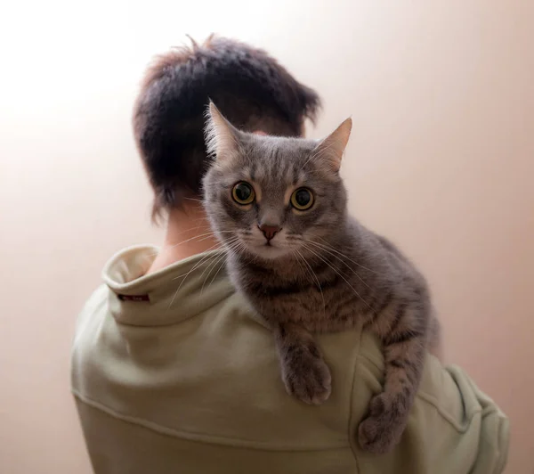 猫靠在肩上 — 图库照片