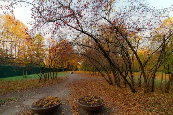 Jesienny park w słoneczny dzień — Zdjęcie stockowe