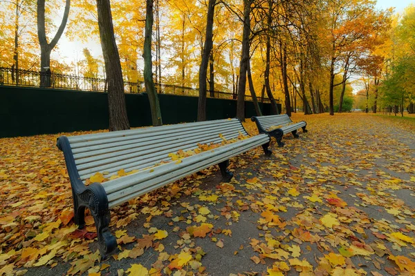 Panchine nel parco autunnale — Foto Stock